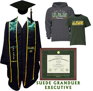 Bachelors Grad Pack D